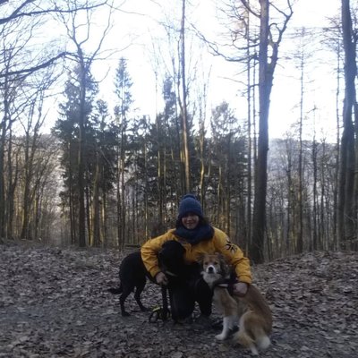 Partnersuche homburg